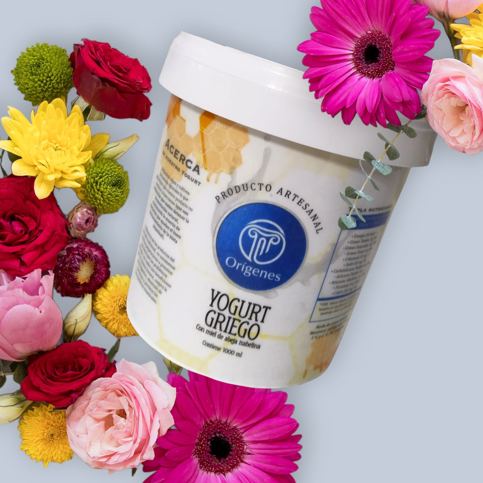 Yogurt Griego Con Miel 500 gramos/ 1/2 litro